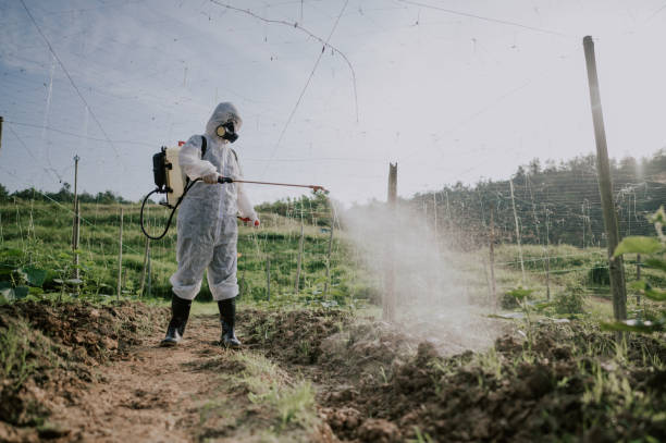 Wasp Removal Services in Stonybrook, PA