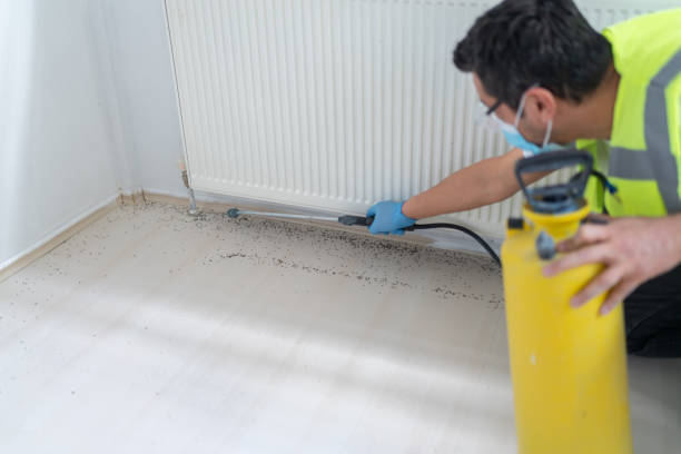 Best Exterminator Services  in Stonybrook, PA